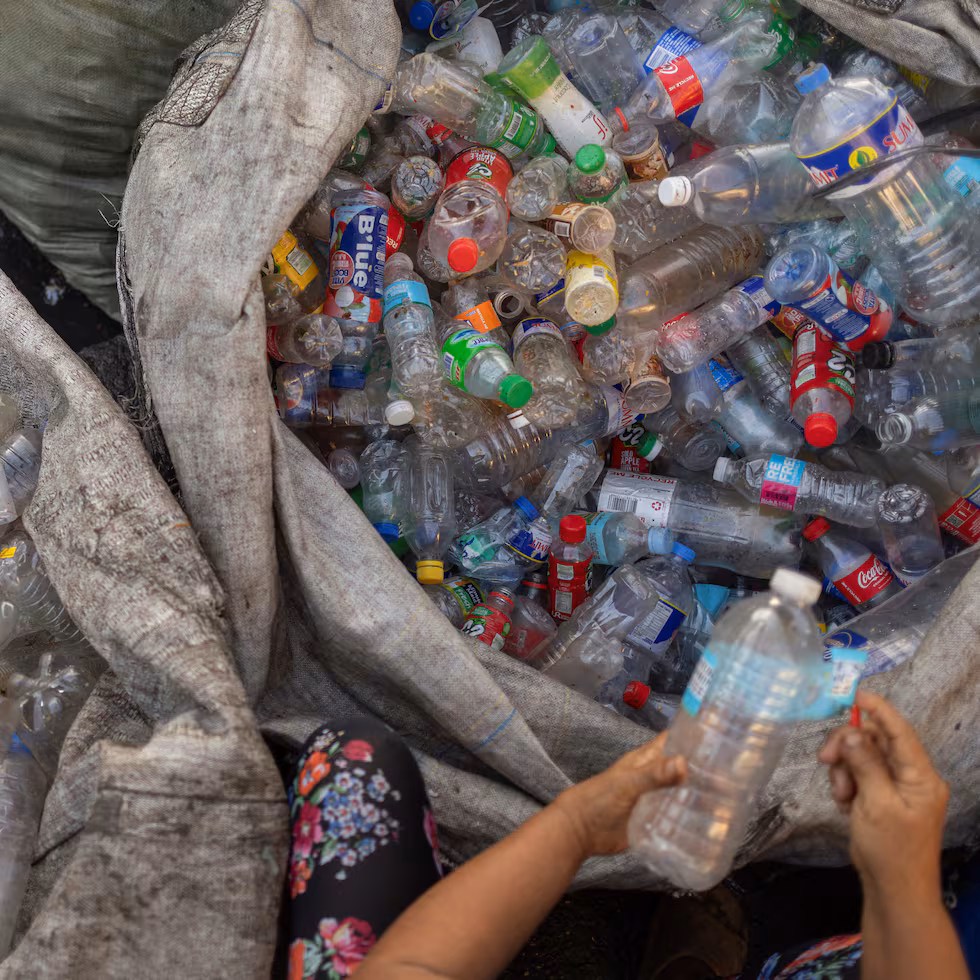 Contaminación por botellas